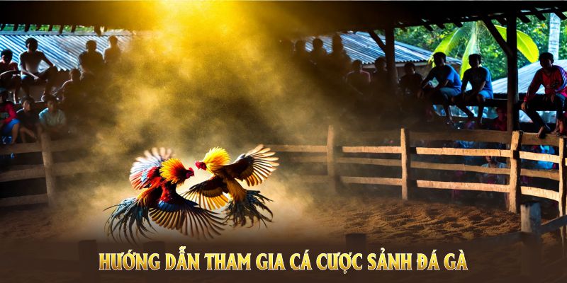 Hướng dẫn các bước cơ bản để tham gia dự đoán đá gà thuận tiện